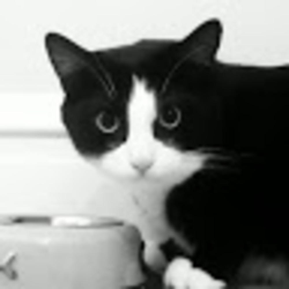 Meet your Posher, Chloe